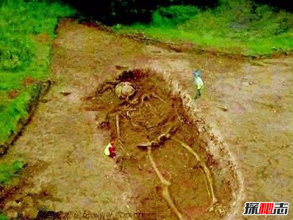 中国发现65米巨人骸骨,巨人真的存在吗?(真相揭秘)